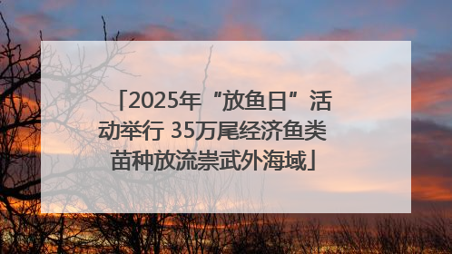 2025年“放鱼日”活动举行 35万尾经济鱼类苗种放流崇武外海域