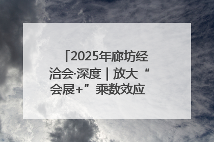 2025年廊坊经洽会·深度｜放大“会展+”乘数效应 打造消费新场景