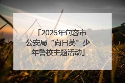 2025年句容市公安局“向日葵”少年警校主题活动
