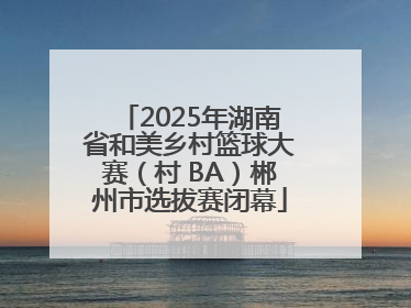 2025年湖南省和美乡村篮球大赛（村 BA）郴州市选拔赛闭幕
