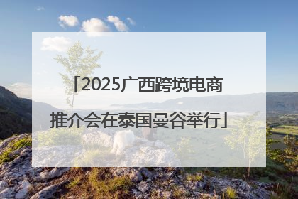 2025广西跨境电商推介会在泰国曼谷举行
