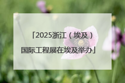 2025浙江（埃及）国际工程展在埃及举办