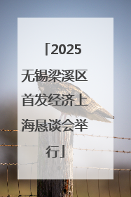 2025无锡梁溪区首发经济上海恳谈会举行