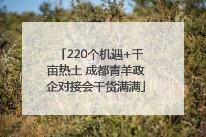 220个机遇+千亩热土 成都青羊政企对接会干货满满