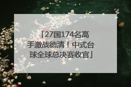 27国174名高手激战德清！中式台球全球总决赛收官