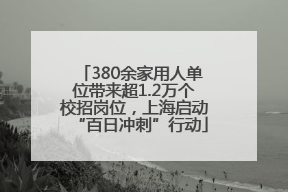 380余家用人单位带来超1.2万个校招岗位，上海启动“百日冲刺”行动