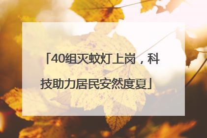 40组灭蚊灯上岗，科技助力居民安然度夏