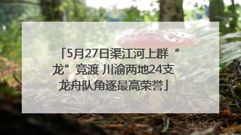 5月27日渠江河上群“龙”竞渡 川渝两地24支龙舟队角逐最高荣誉