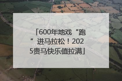 600年地戏“跑”进马拉松！2025贵马快乐值拉满