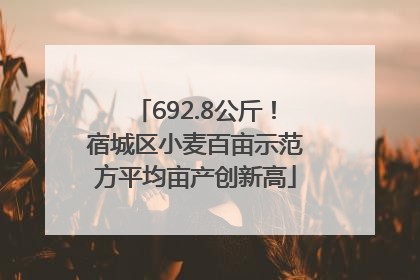 692.8公斤！宿城区小麦百亩示范方平均亩产创新高