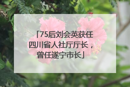75后刘会英获任四川省人社厅厅长，曾任遂宁市长