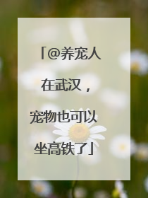@养宠人 在武汉，宠物也可以坐高铁了