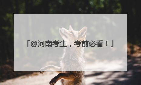 @河南考生，考前必看！