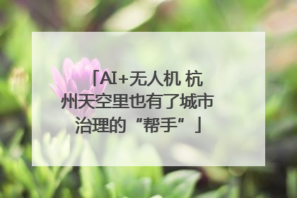 AI+无人机 杭州天空里也有了城市治理的“帮手”