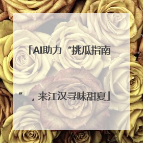 AI助力“挑瓜指南”，来江汉寻味甜夏