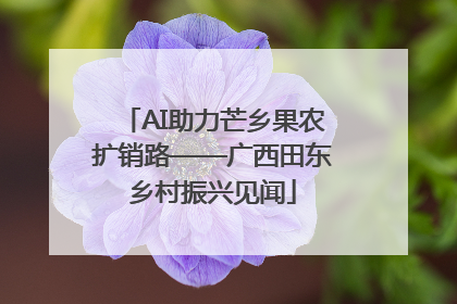 AI助力芒乡果农扩销路——广西田东乡村振兴见闻