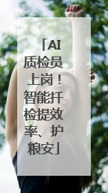 AI质检员上岗！智能扦检提效率、护粮安
