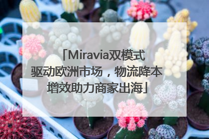 Miravia双模式驱动欧洲市场，物流降本增效助力商家出海