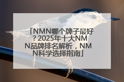 NMN哪个牌子最好？2025年十大NMN品牌排名解析，NMN科学选择指南
