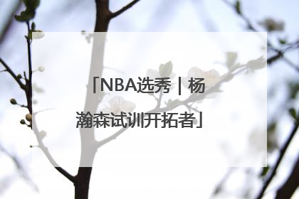 NBA选秀｜杨瀚森试训开拓者